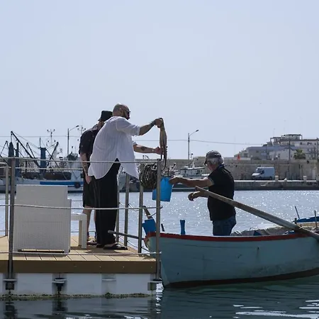 Houseboat Floatart Experience